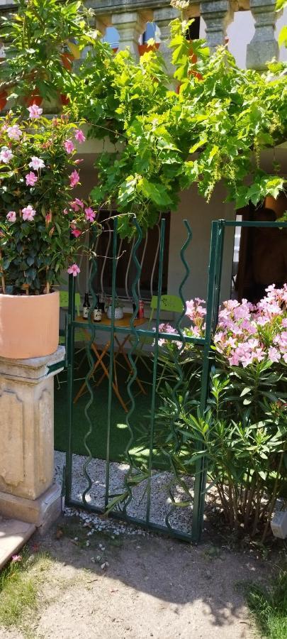 Le Cosy Joli F2 Proche Gare, Arenes Avec Terrasse Privee Apartment Nimes